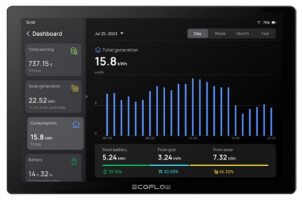 Система розумний будинок EcoFlow PowerInsight №1