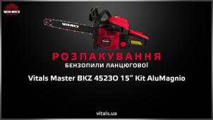 Бензопила ланцюгова Vitals Master BKZ 4523 o 18“ AluMagnio №2