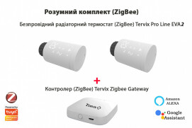 Комплект Tervix Pro Line EVA2 (2 шт.) + контролер Tervix ZigBee Gateway