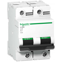 Автоматичний вимикач C120N 2P 63A B Schneider Electric A9N18344