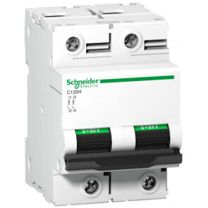 Автоматический выключатель C120H 2P 100A B Schneider Electric A9N18414 №1